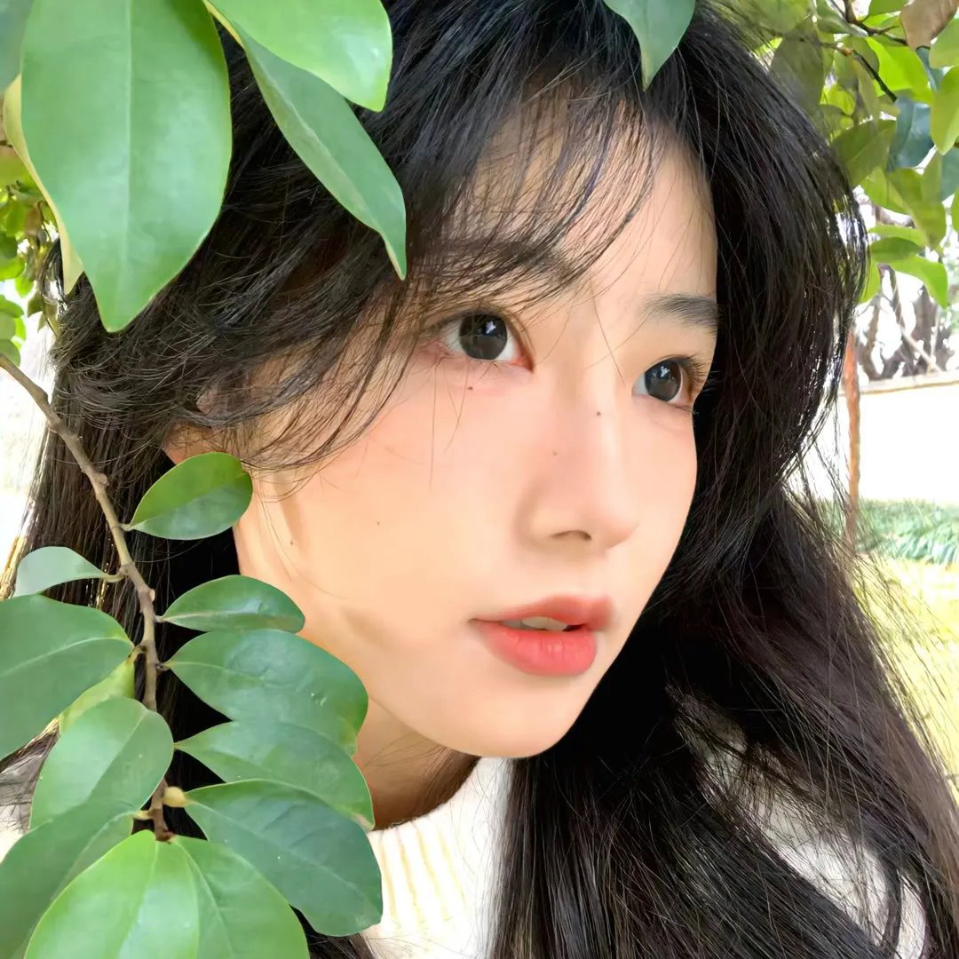 外姓兄弟封面