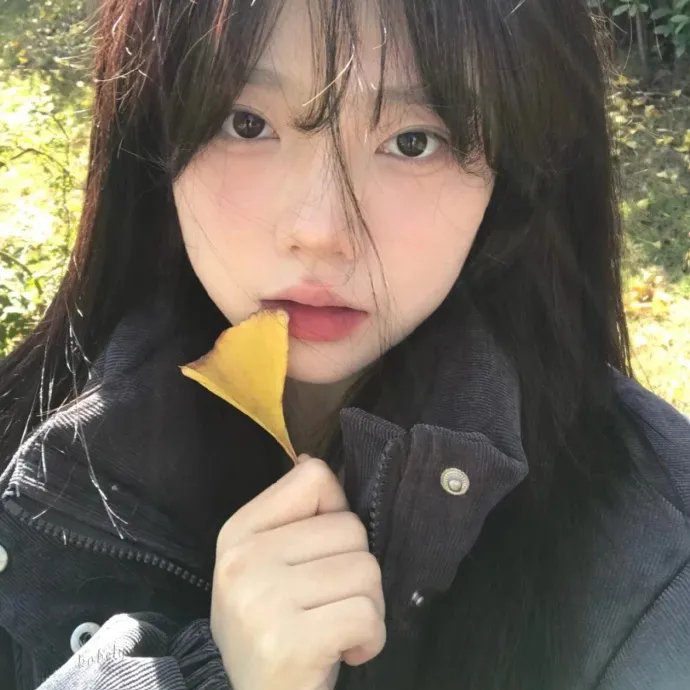 黑话律师封面